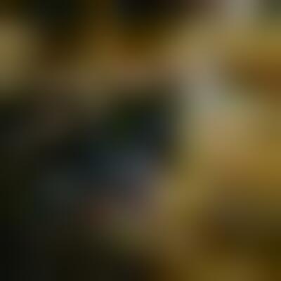 Profilbild einer 55 Jahre alten Frau, Single, 156 cm