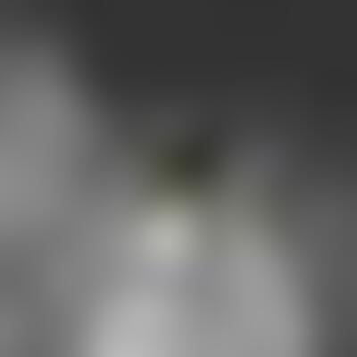 Profilbild eines 50 Jahre alten Manns, Single, 202 cm