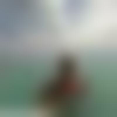 Profilbild eines 49 Jahre alten Manns, Single, 186 cm